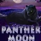 Panther Moon